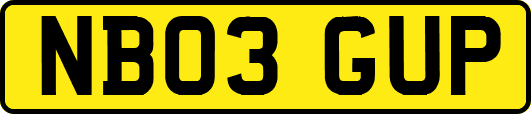 NB03GUP