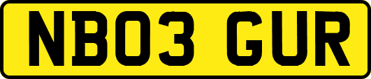 NB03GUR