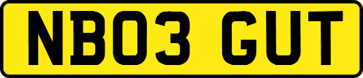 NB03GUT