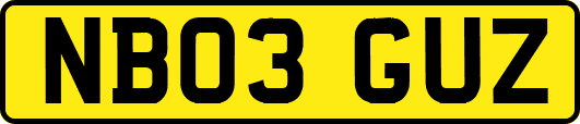 NB03GUZ