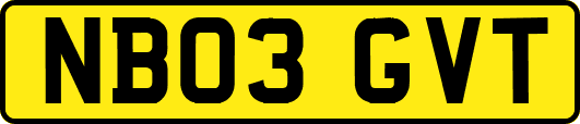 NB03GVT