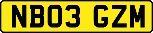 NB03GZM