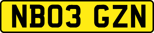 NB03GZN