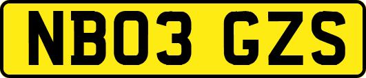 NB03GZS