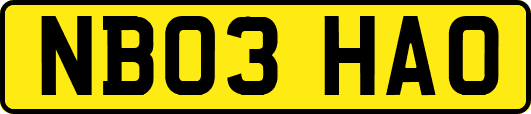 NB03HAO