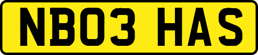 NB03HAS