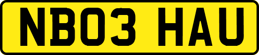 NB03HAU