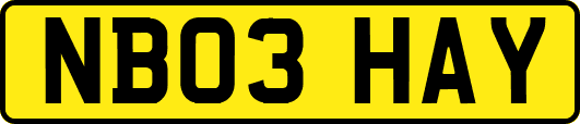 NB03HAY