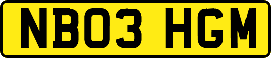 NB03HGM