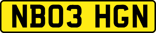 NB03HGN