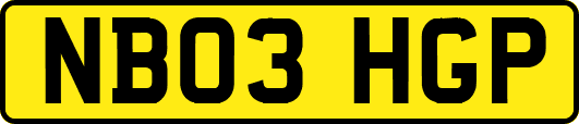 NB03HGP