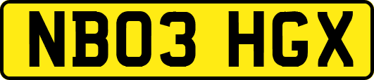 NB03HGX