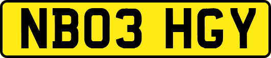 NB03HGY
