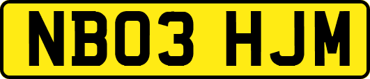 NB03HJM