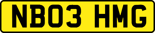 NB03HMG