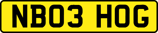 NB03HOG