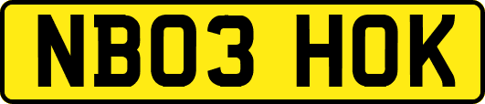 NB03HOK