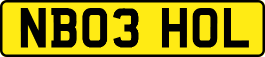 NB03HOL