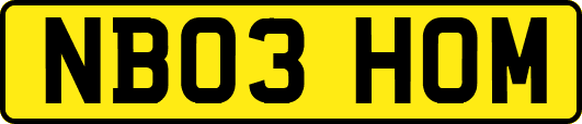 NB03HOM