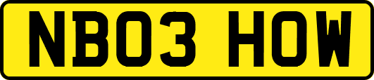 NB03HOW