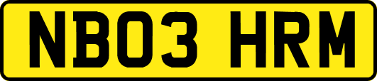 NB03HRM