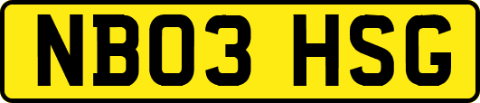NB03HSG