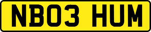 NB03HUM