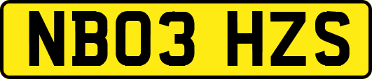 NB03HZS