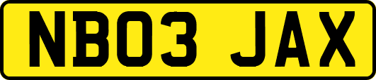 NB03JAX