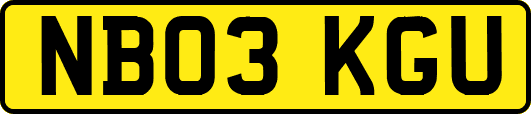 NB03KGU
