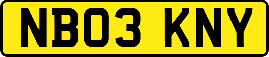 NB03KNY