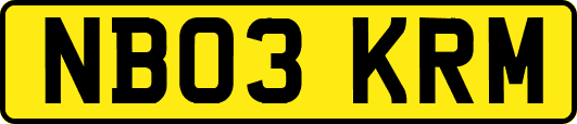 NB03KRM