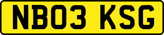 NB03KSG