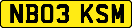 NB03KSM