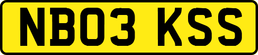 NB03KSS