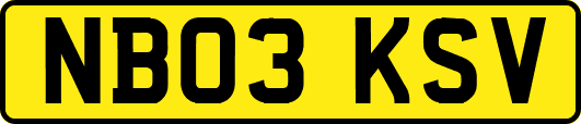 NB03KSV