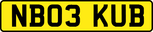 NB03KUB