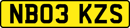 NB03KZS
