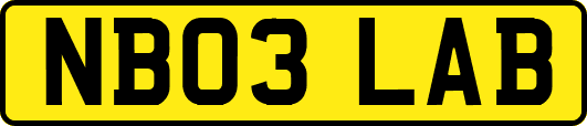 NB03LAB