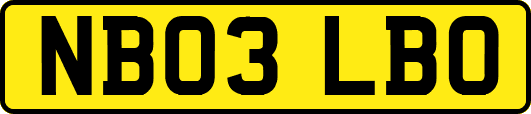 NB03LBO