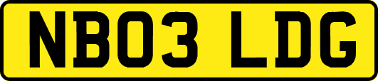 NB03LDG