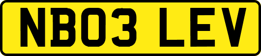 NB03LEV
