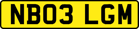 NB03LGM