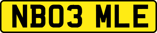 NB03MLE