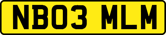 NB03MLM