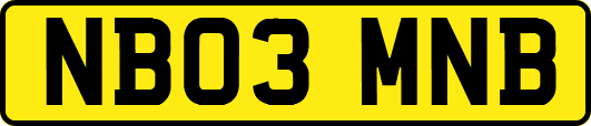 NB03MNB