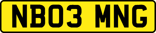 NB03MNG