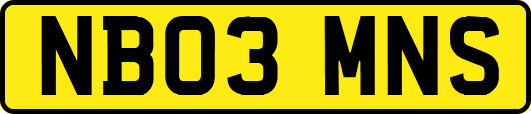 NB03MNS