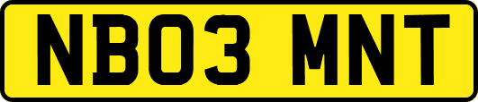 NB03MNT