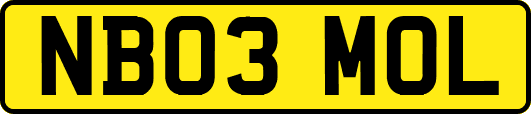 NB03MOL